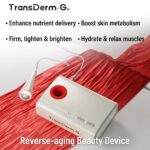 TransDerm-G 3-in-1 Professional Beauty System operating functions infographic
